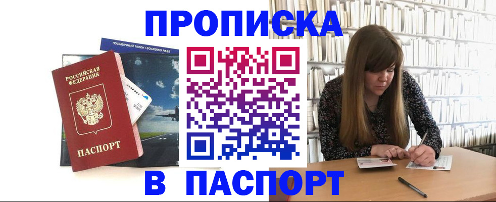 прописка поиск в Купино